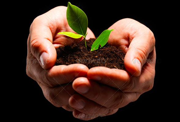 令人憧憬的电话攻击